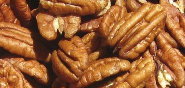 فوائد عين الجمل للشعر صورة مقال فوائد عين الجمل للشعر