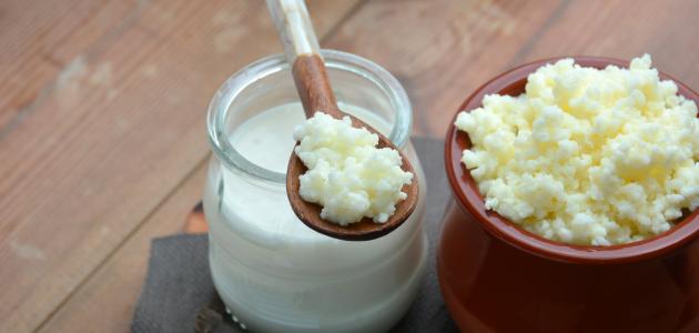 فوائد الفطر الهندي للتخسيس صورة مقال فوائد الفطر الهندي للتخسيس