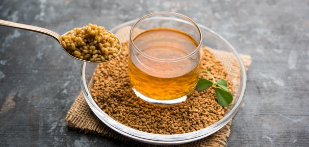 طريقة عمل الحلبة للشرب صورة مقال طريقة عمل الحلبة للشرب