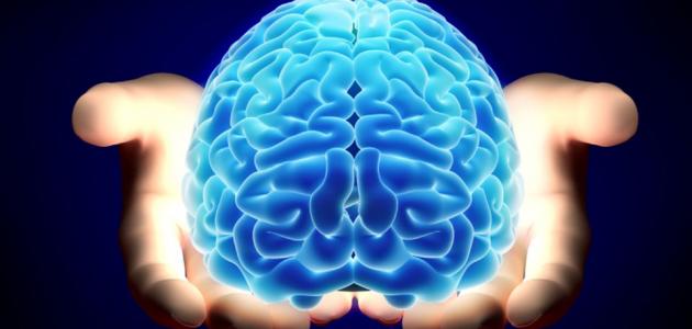 مفهوم الذكاء صورة مقال مفهوم الذكاء