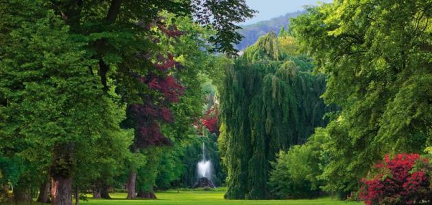 مدينة بادن بادن صورة مقال مدينة بادن بادن