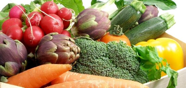 ما هو فيتامين ب12 صورة مقال ما هو فيتامين ب12