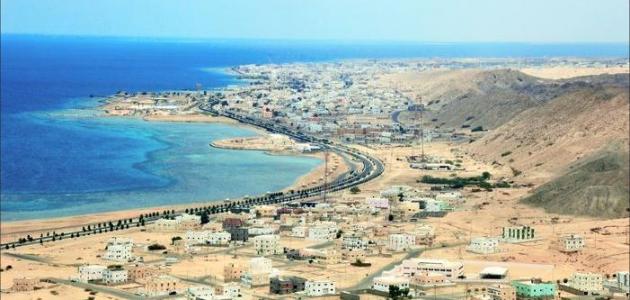 مدينة أملج صورة مقال مدينة أملج