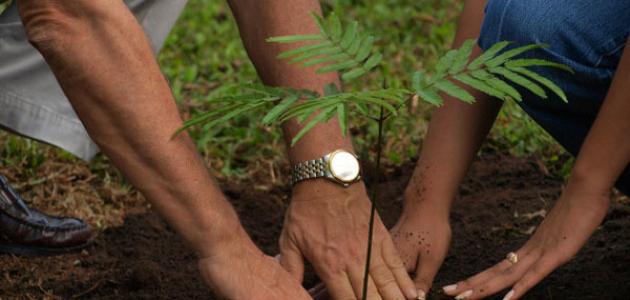حماية الطبيعة صورة مقال حماية الطبيعة