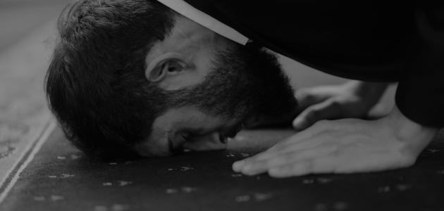 كم عدد ركعات صلاة الشفع صورة مقال كم عدد ركعات صلاة الشفع