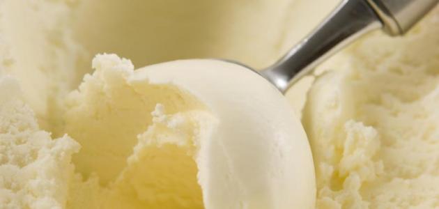 صنع الآيسكريم في المنزل صورة مقال صنع الآيسكريم في المنزل