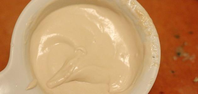 طريقة عمل الطحينة المصرية صورة مقال طريقة عمل الطحينة المصرية