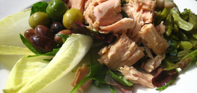 سلطة التونة للرجيم صورة مقال سلطة التونة للرجيم