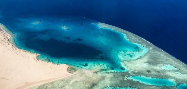 جزر البحر الأحمر صورة مقال جزر البحر الأحمر