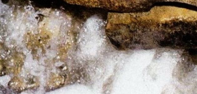 فوائد التضلع بماء زمزم صورة مقال فوائد التضلع بماء زمزم