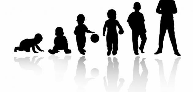 خصائص مراحل النمو المعرفي صورة مقال خصائص مراحل النمو المعرفي