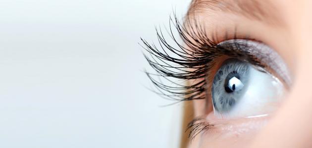 طرق لتطويل الرموش صورة مقال طرق لتطويل الرموش