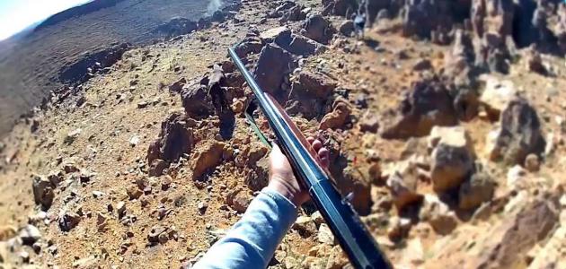 الصيد البري في المغرب صورة مقال الصيد البري في المغرب