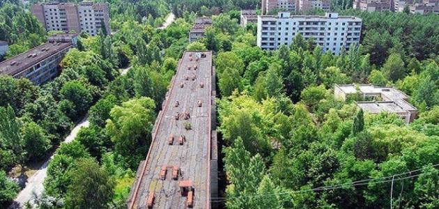 مدينة هجر صورة مقال مدينة هجر