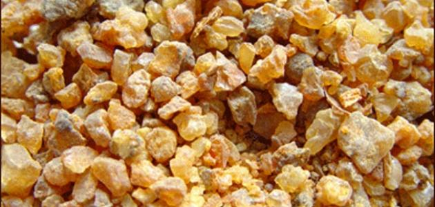 فوائد المر للحامل صورة مقال فوائد المر للحامل