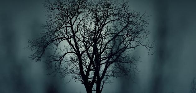 كيف أتخلص من وساوس الشيطان صورة مقال كيف أتخلص من وساوس الشيطان