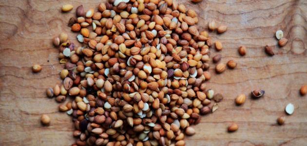 فوائد المحلب مع الحناء للشعر صورة مقال فوائد المحلب مع الحناء للشعر