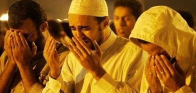 كم عدد ركعات صلاة التهجد صورة مقال كم عدد ركعات صلاة التهجد