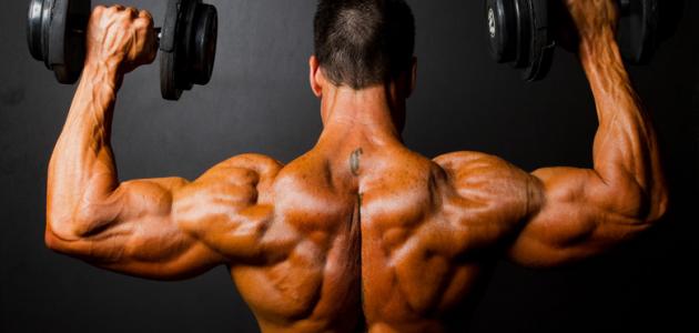 تمارين تنشيف العضلات صورة مقال تمارين تنشيف العضلات