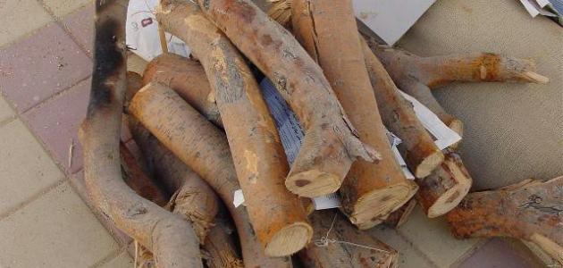 أفضل أنواع الحطب صورة مقال أفضل أنواع الحطب