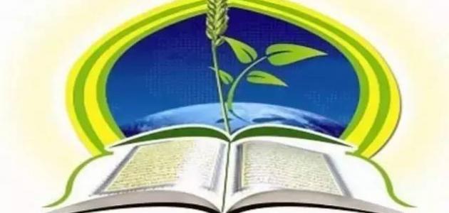 خصائص أهل السنة صورة مقال خصائص أهل السنة