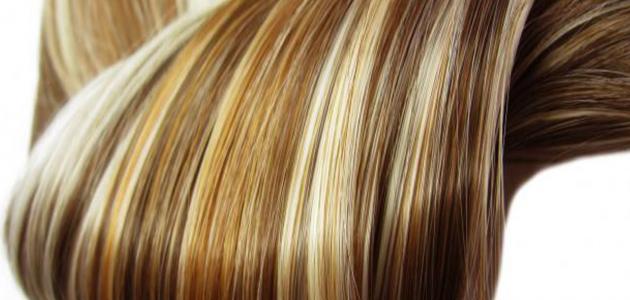 أفضل خلطة لتطويل الشعر بسرعة صورة مقال أفضل خلطة لتطويل الشعر بسرعة