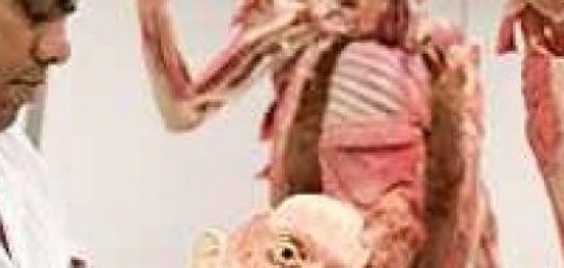 أفضل تخصصات الجامعة صورة مقال أفضل تخصصات الجامعة