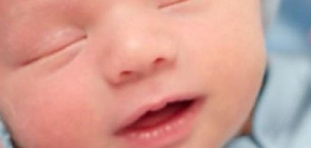 أعشاب لزيادة حليب الأم صورة مقال أعشاب لزيادة حليب الأم