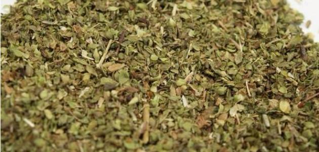 طريقة استخدام البردقوش لتنظيم الهرمونات صورة مقال طريقة استخدام البردقوش لتنظيم الهرمونات