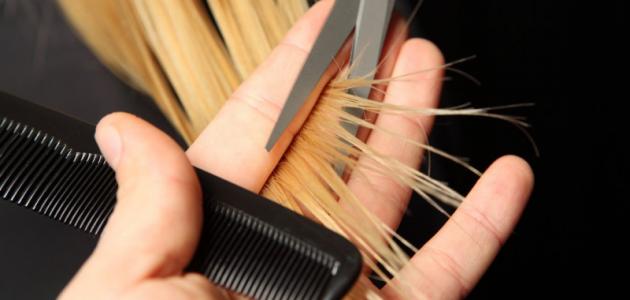 أسباب تقصف الشعر من الأمام صورة مقال أسباب تقصف الشعر من الأمام