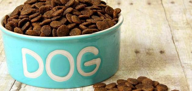 أفضل طعام للكلاب صورة مقال أفضل طعام للكلاب