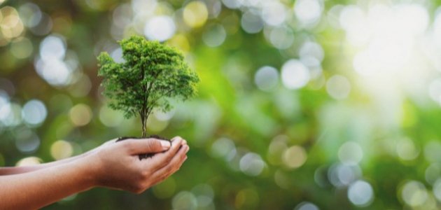 أثر الكلمة الطيبة صورة مقال أثر الكلمة الطيبة