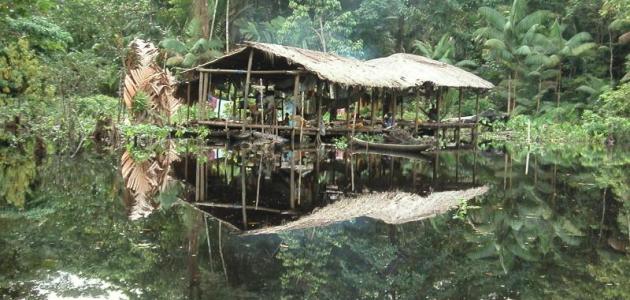 عدد سكان فنزويلا صورة مقال عدد سكان فنزويلا