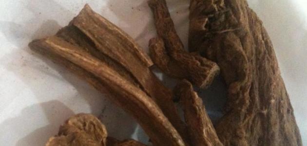 الفرق بين القسط الهندي والبحري صورة مقال الفرق بين القسط الهندي والبحري