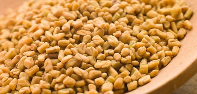 أضرار الحلبة على الكلى صورة مقال أضرار الحلبة على الكلى