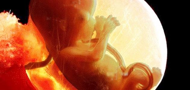 أسباب وفاة الجنين في الشهر التاسع صورة مقال أسباب وفاة الجنين في الشهر التاسع