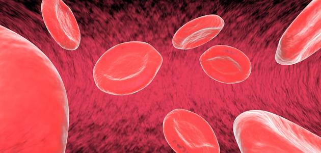 أعراض بيتا ثلاسيميا صورة مقال أعراض بيتا ثلاسيميا