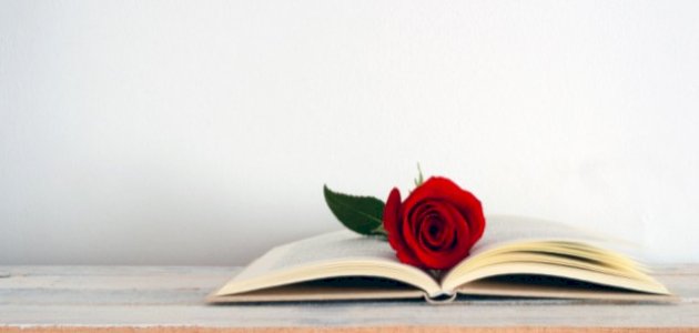 أيا شيماء فاعذري حالي صورة مقال أيا شيماء فاعذري حالي