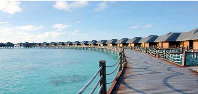 جزيرة فرسان بجيزان صورة مقال جزيرة فرسان بجيزان