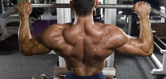 تمارين تعريض الظهر صورة مقال تمارين تعريض الظهر