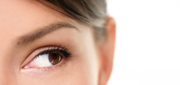 ظهور الشعر الأبيض في الحاجب صورة مقال ظهور الشعر الأبيض في الحاجب