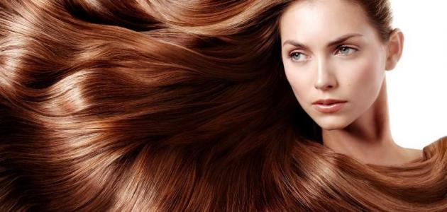 طرق لتكثيف الشعر في أسبوع صورة مقال طرق لتكثيف الشعر في أسبوع