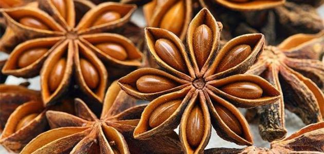 فوائد اليانسون للشعر صورة مقال فوائد اليانسون للشعر