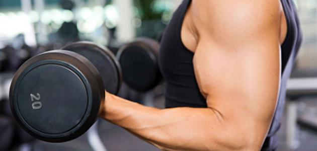 فوائد تمارين الحديد صورة مقال فوائد تمارين الحديد