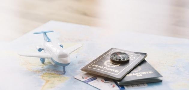 فوائد الهجرة صورة مقال فوائد الهجرة