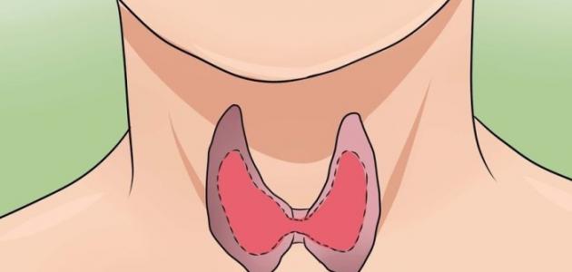 رجيم لمرضى الغدة الدرقية الخاملة صورة مقال رجيم لمرضى الغدة الدرقية الخاملة