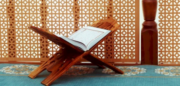 سبب تسمية سورة العنكبوت صورة مقال سبب تسمية سورة العنكبوت