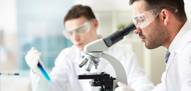 بحث عن خصائص الكائنات الحية صورة مقال بحث عن خصائص الكائنات الحية