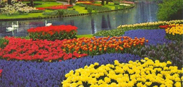 بحث حول فصل الربيع صورة مقال بحث حول فصل الربيع