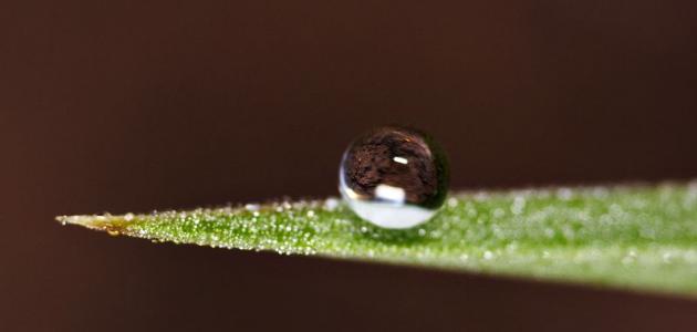 ظاهرة التوتر السطحي صورة مقال ظاهرة التوتر السطحي